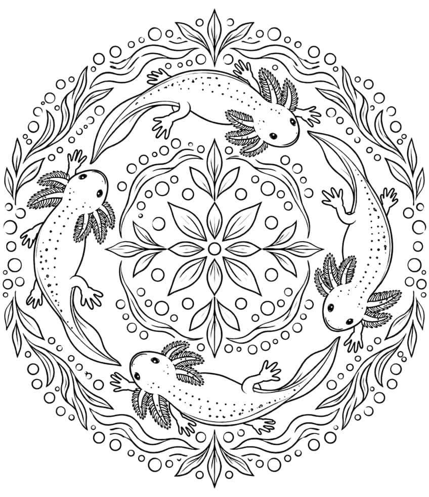 axolotl mandala coloring page with four axolotls in rotational symmetry