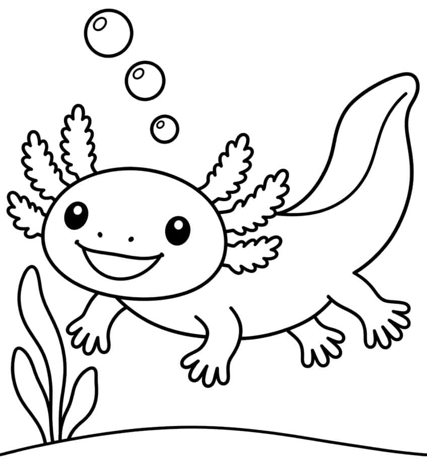 simple axolotl coloring page with thick outlines for toddlers