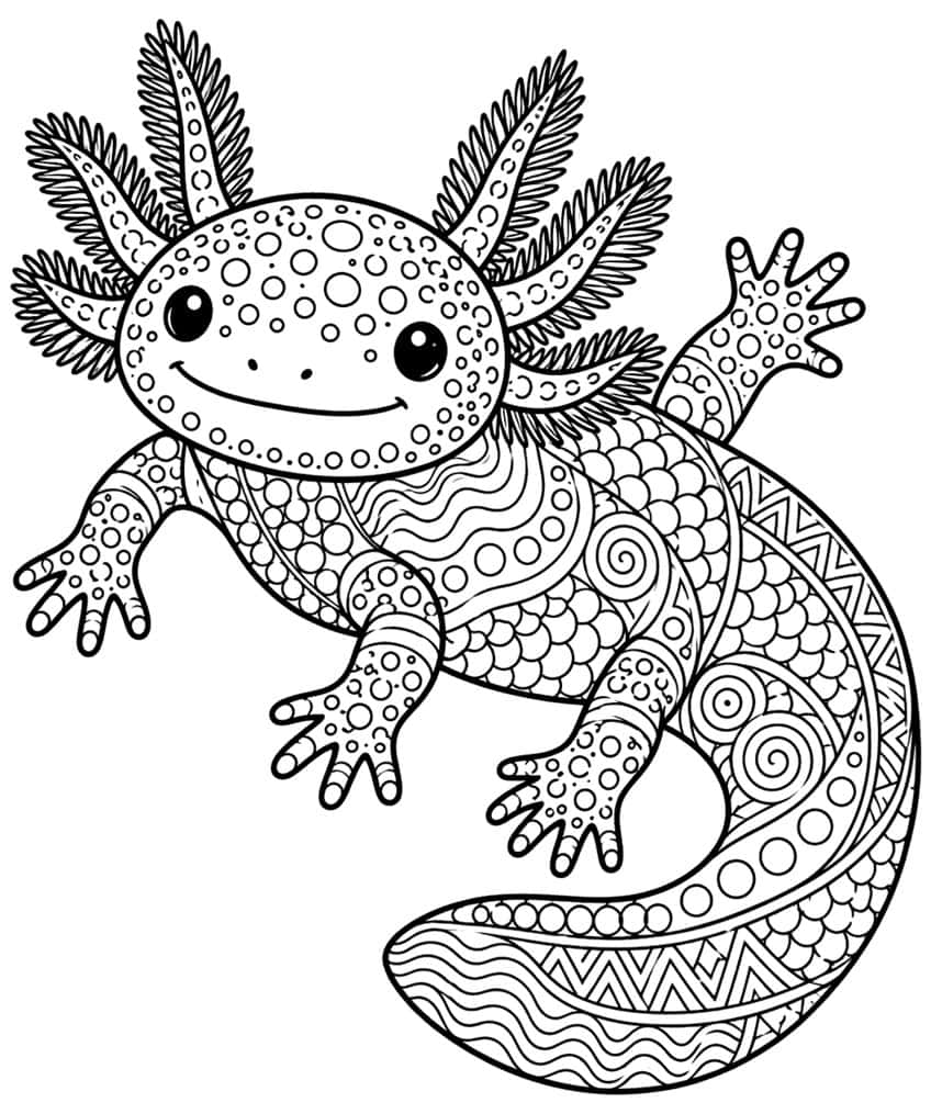 zentangle axolotl coloring page with the body divided into patterned sections