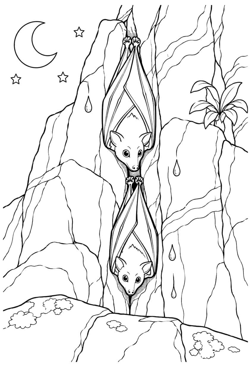 Two bats hanging in a rocky crevice with dripping water, moon and stars