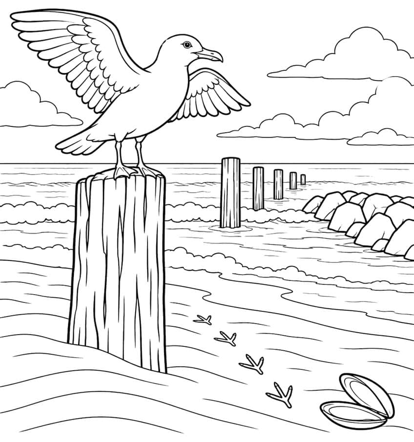 Seagull with spread wings on a wooden beach post, with bird tracks and an open mussel shell in the sand