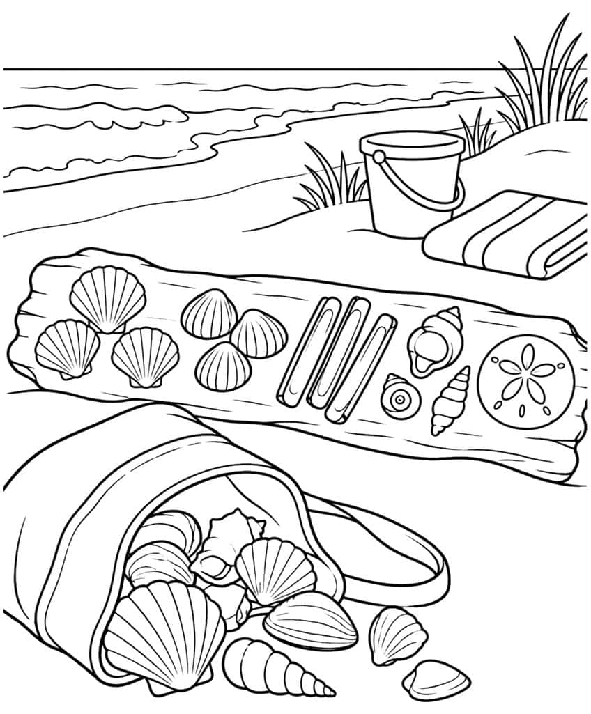 Beach coloring page of seashells sorted on driftwood, a tote bag full of shells and a bucket