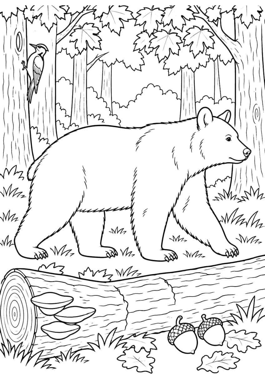Coloring page of a bear walking in the forest past a fallen log, acorns and a woodpecker