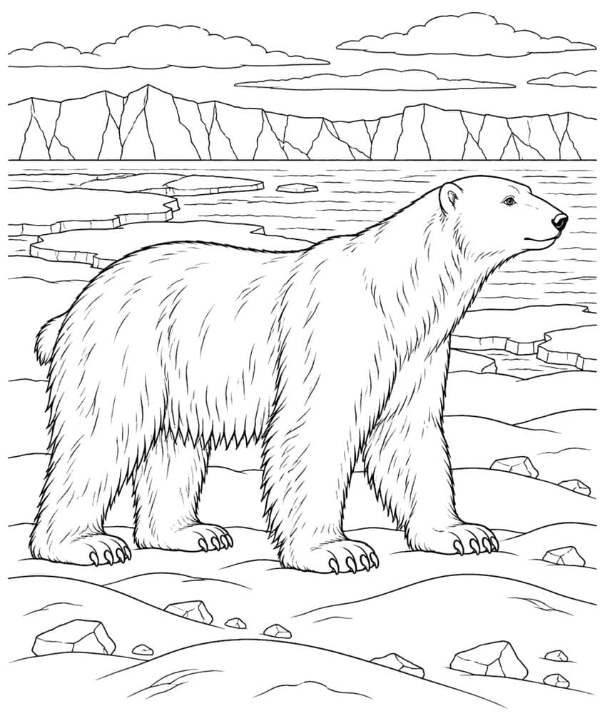 Coloring page of a polar bear standing on snow with ice floes and ice cliffs behind it