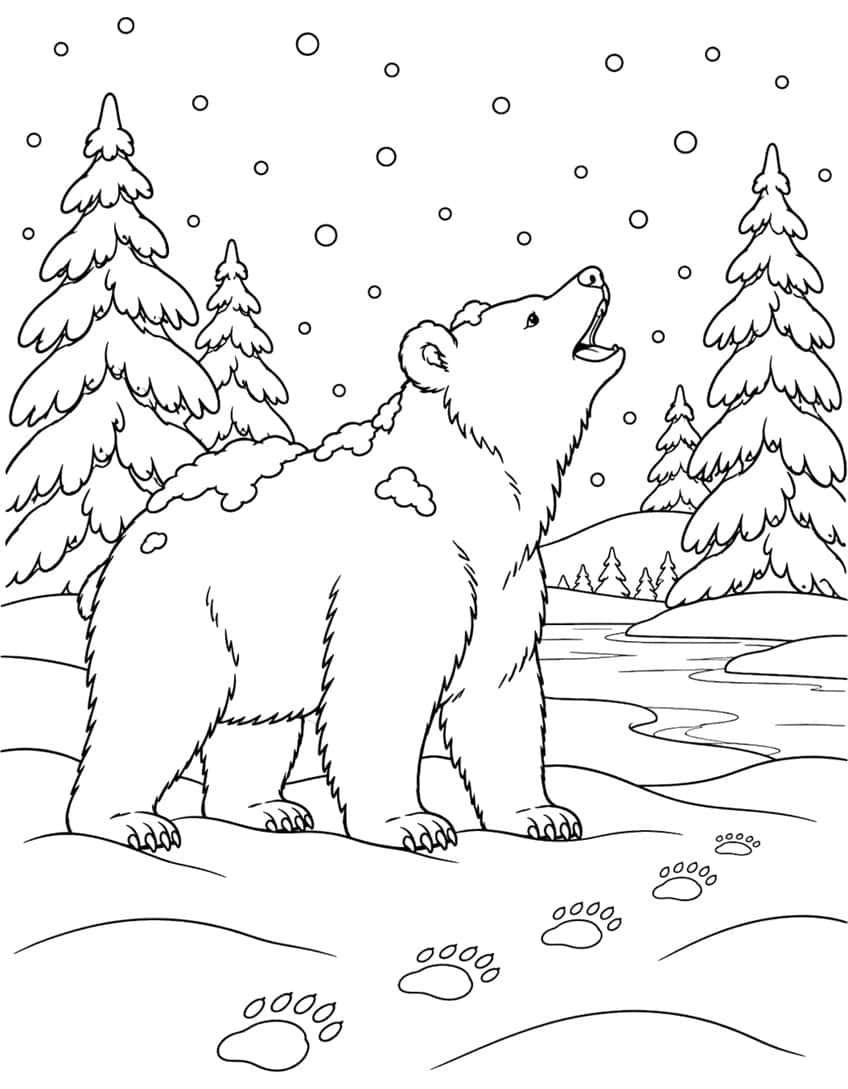 Bear coloring page with a bear catching snowflakes among fir trees and paw prints