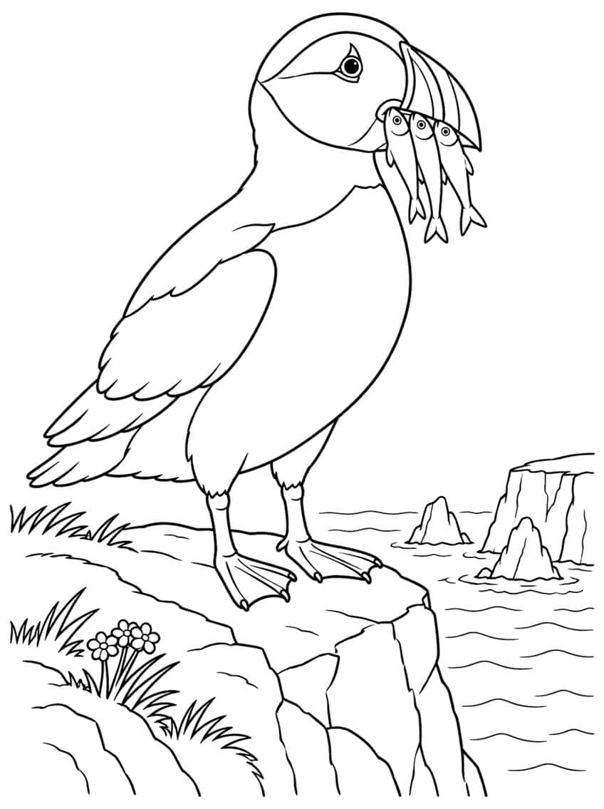 Coloring page of a puffin holding fish, standing on a sea cliff
