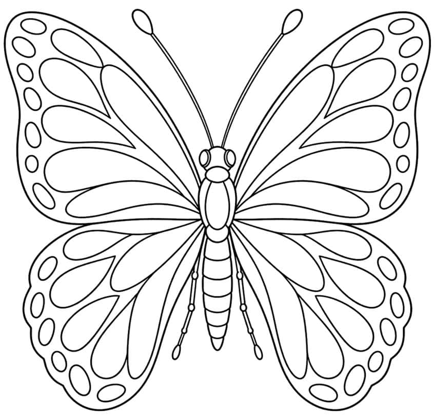 Coloring page of a symmetrical butterfly with wide open patterned wings