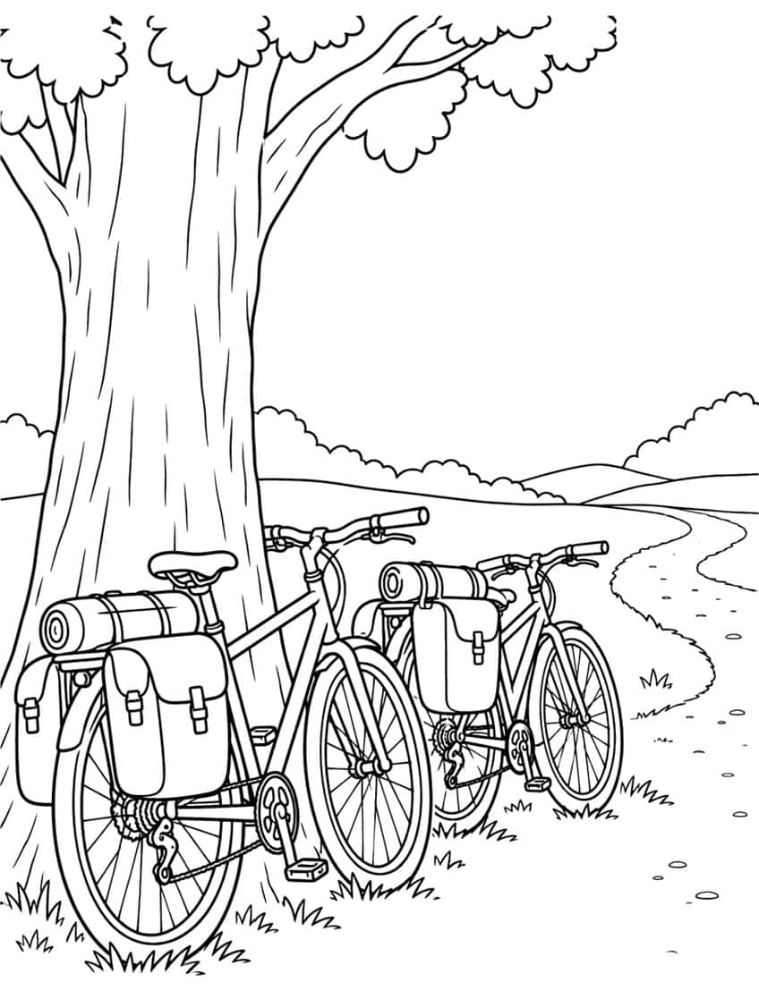Two loaded touring bikes leaning on a large tree beside a winding path and hills