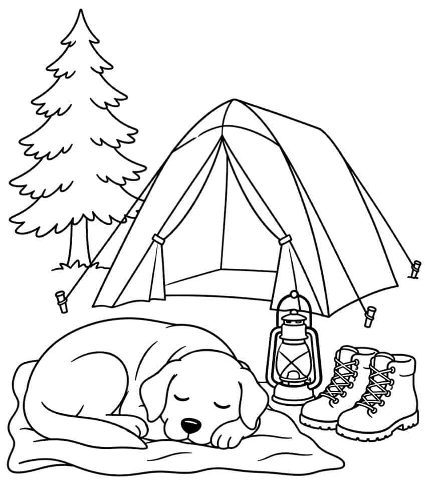 Sleeping Labrador on a blanket with a tent, pine tree, lantern and hiking boots