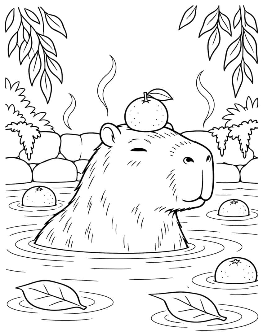Coloring page of a capybara in a steaming hot spring with an orange on its head