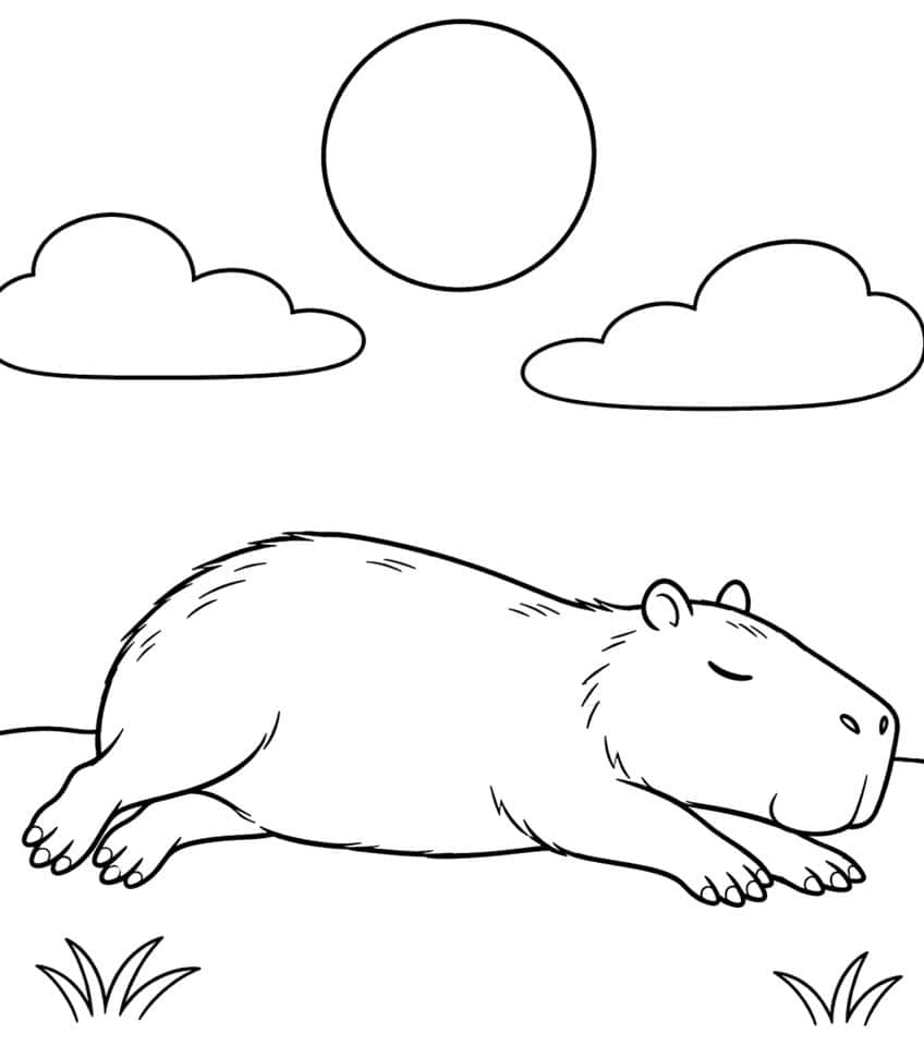 Coloring page of a capybara sleeping on the grass under a sun and two clouds