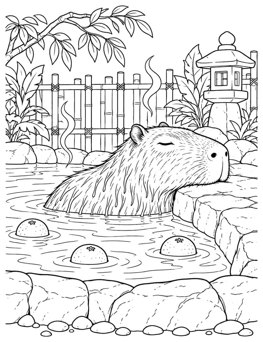Coloring page of a capybara bathing in a hot spring with floating oranges and a stone lantern