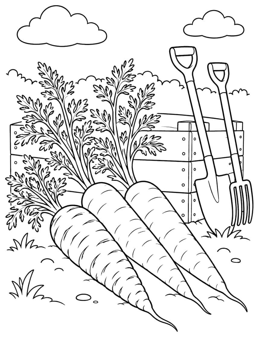 Three carrots, wooden crate, spade, pitchfork, clouds