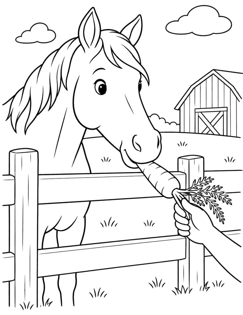 Horse reaching over fence to eat carrot from a hand, barn behind