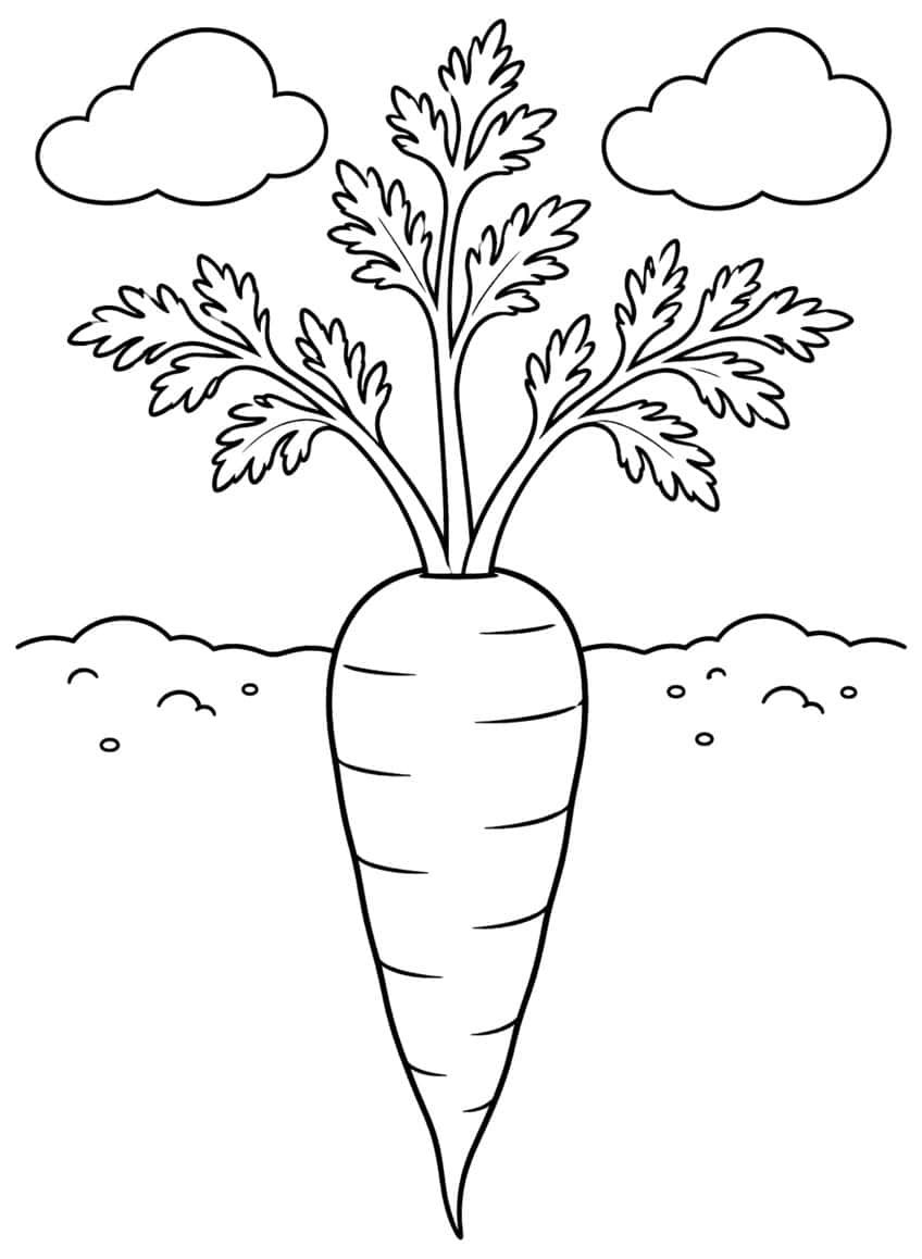Large carrot underground with feathery leaves above, clouds and pebbles