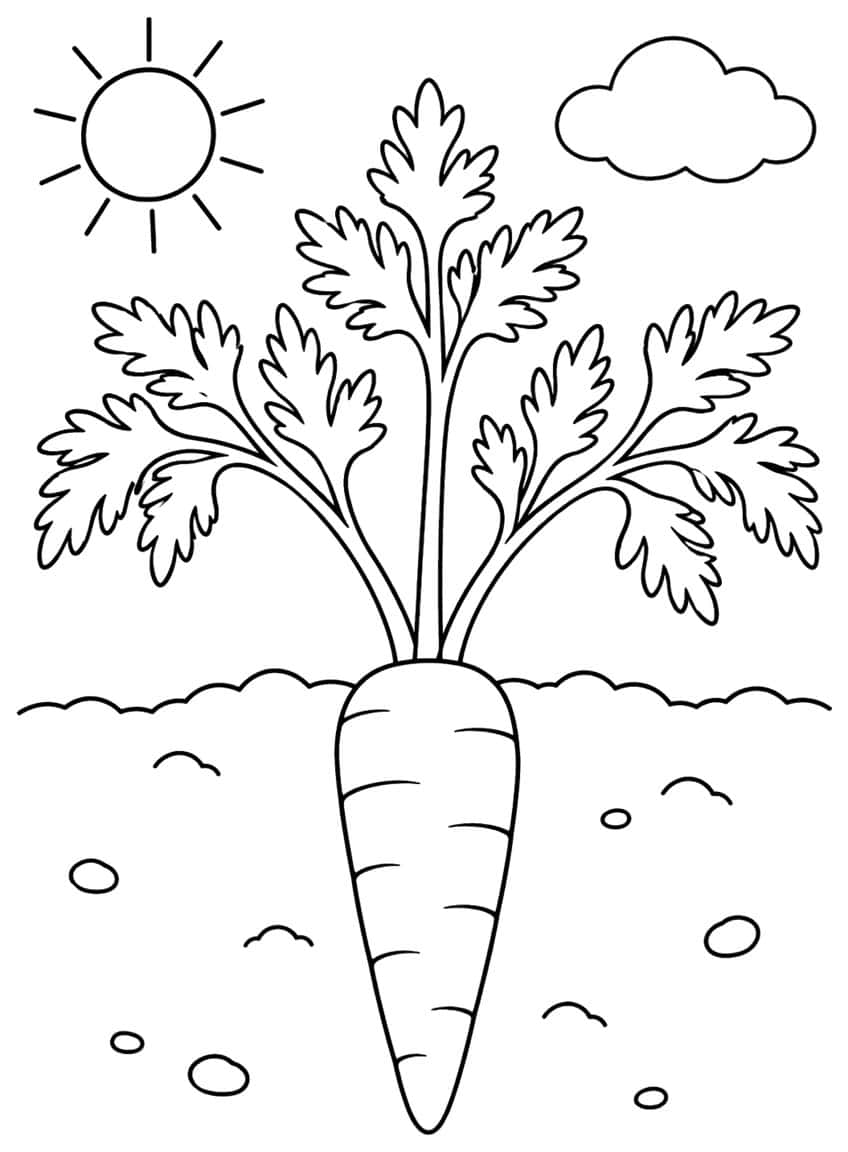 Large carrot with wide feathery leaves, sun, cloud, and pebbles in soil