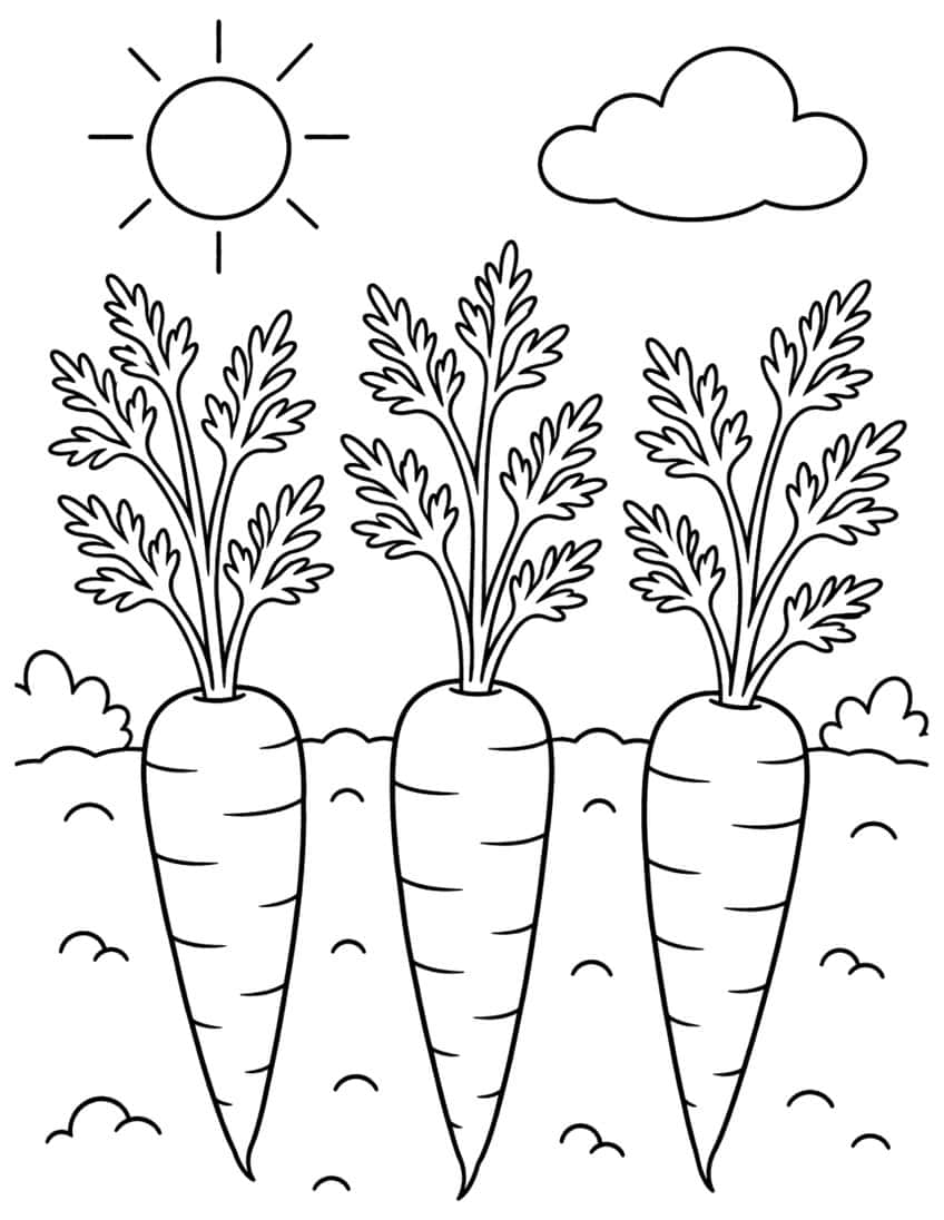 Three carrots in a row with leafy tops, sun, cloud and bushes