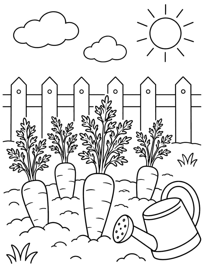 Four carrots by a fence next to a tipped-over watering can, sun and clouds above