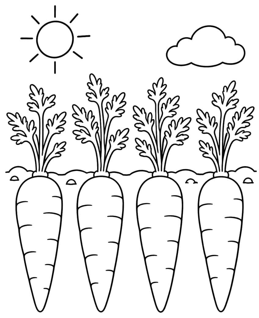 Four large carrots with leafy tops, sun and cloud in the sky