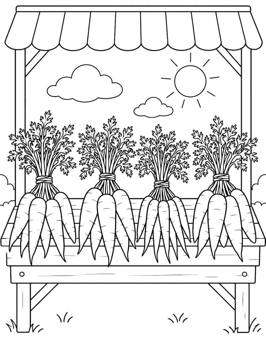 Four bundled carrot bunches on a market stall counter under a sun and clouds