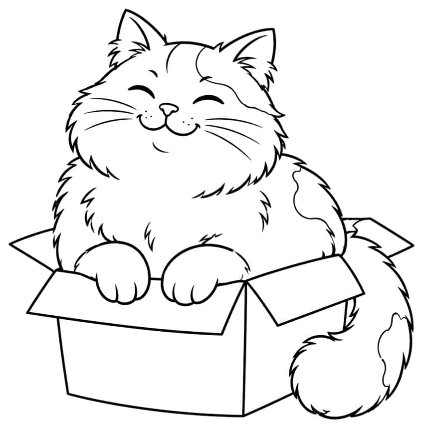 Coloring page of a smiling fluffy cat sitting in a cardboard box