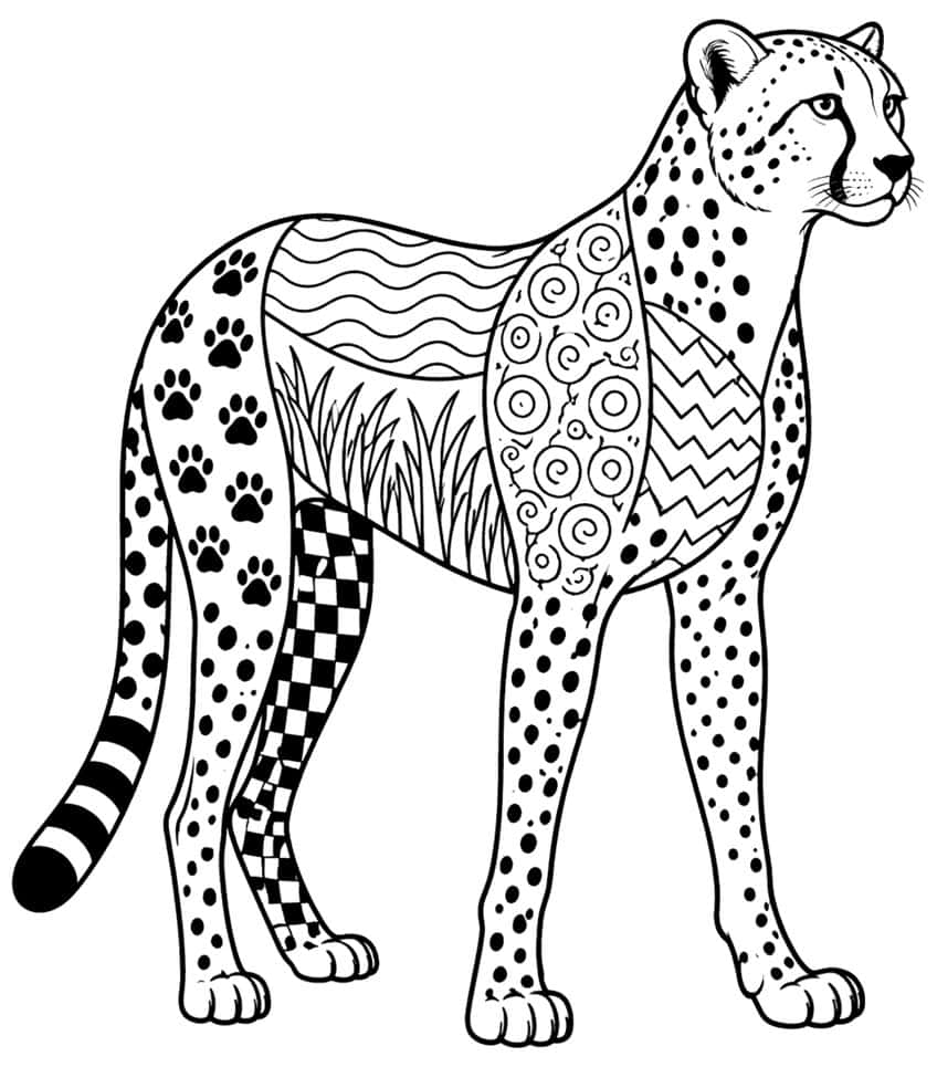 Cheetah standing with body split into patterned patchwork sections