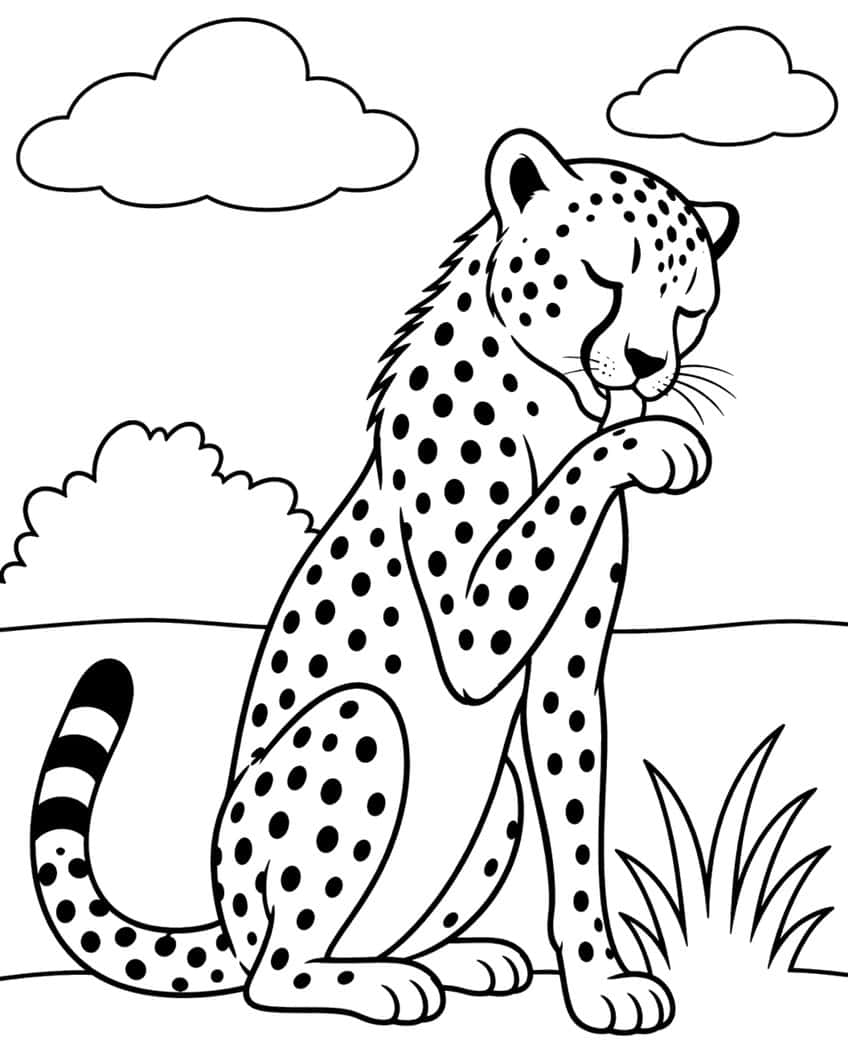 Cheetah sitting and licking its paw beneath clouds and a bush