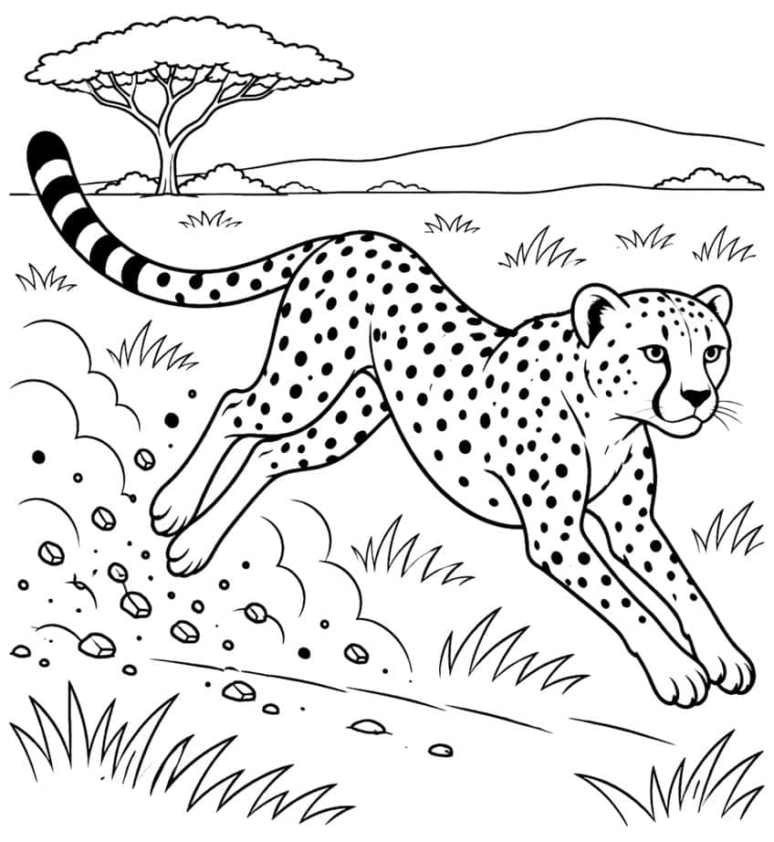 Cheetah coloring page of it running full speed with dust flying behind it
