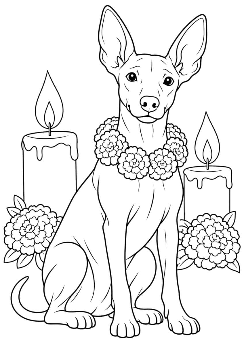 Sitting hairless dog with a marigold garland, two lit candles and two marigold clusters