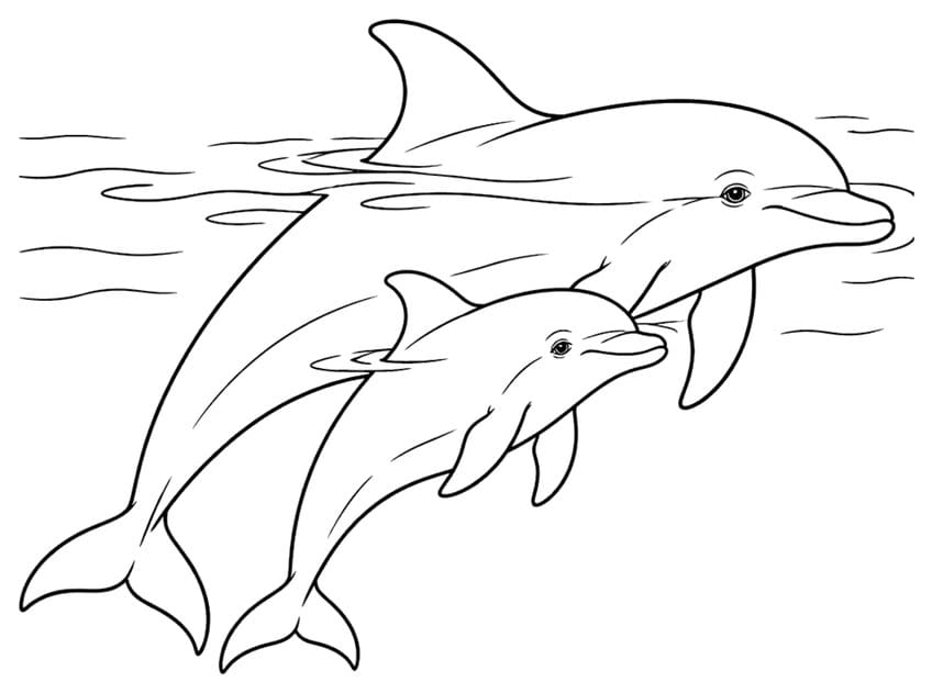 Outline drawing of an adult dolphin swimming beside its calf near wavy water lines