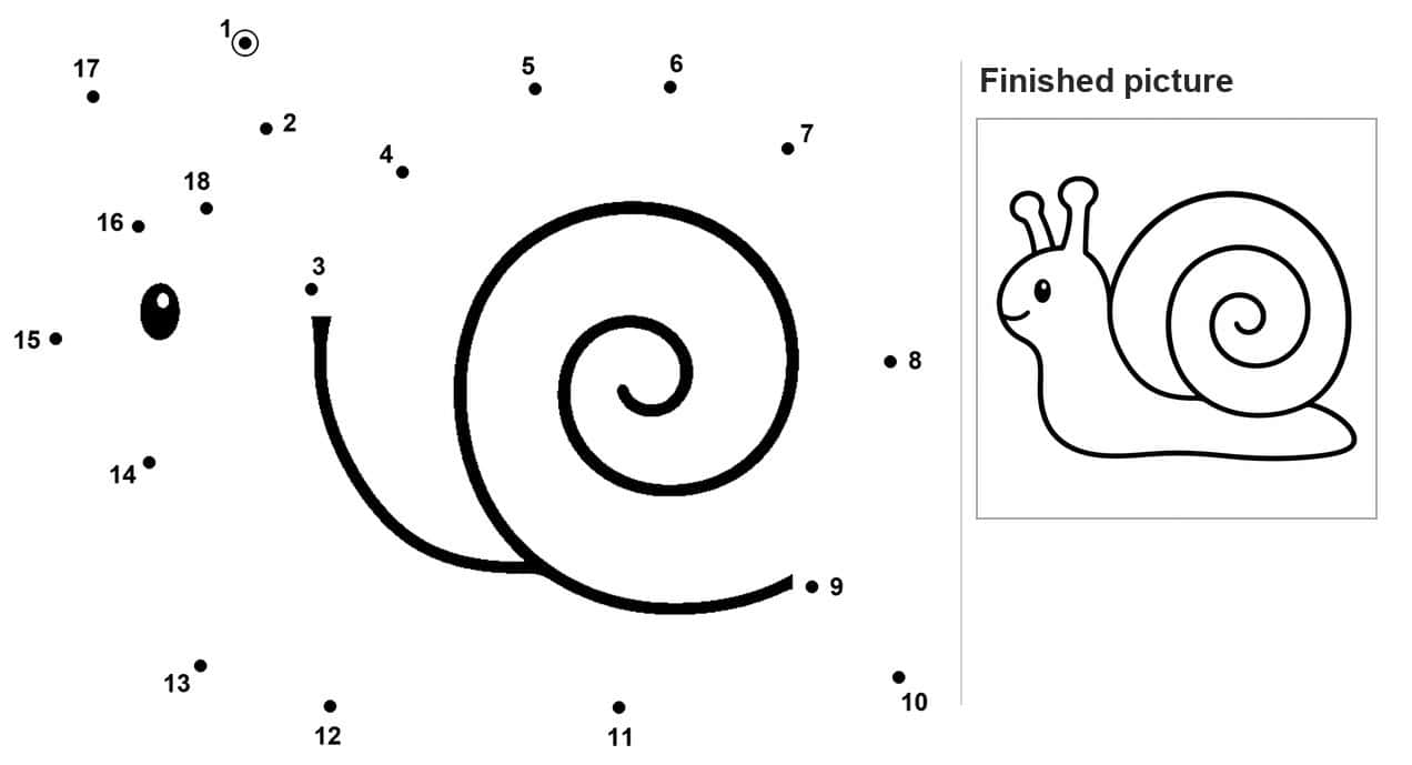 Dot to dot snail with spiral shell and small round eye