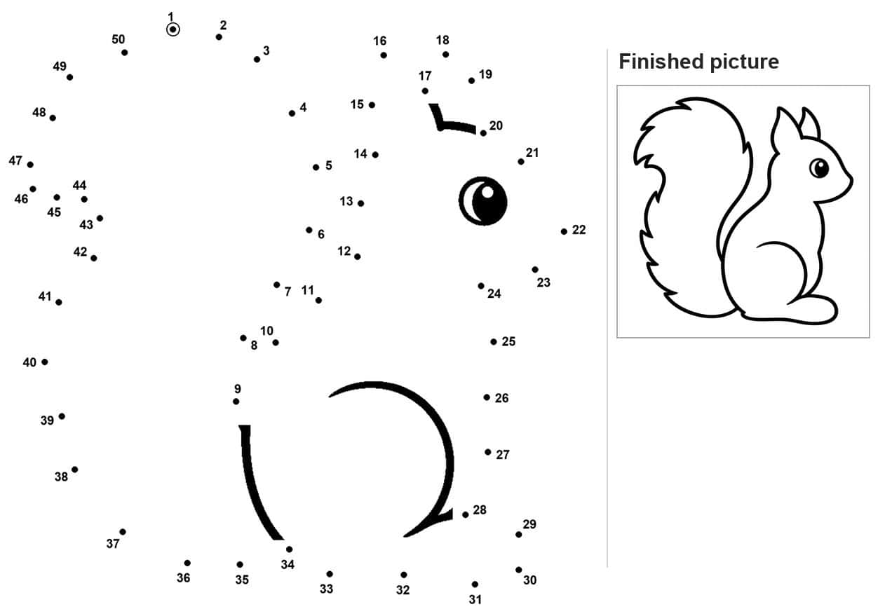 Dot to dot squirrel with curled tail and inked eye