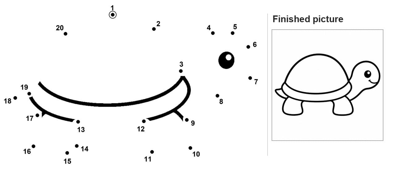 Dot to dot turtle with drawn eye, shell curve and small claws