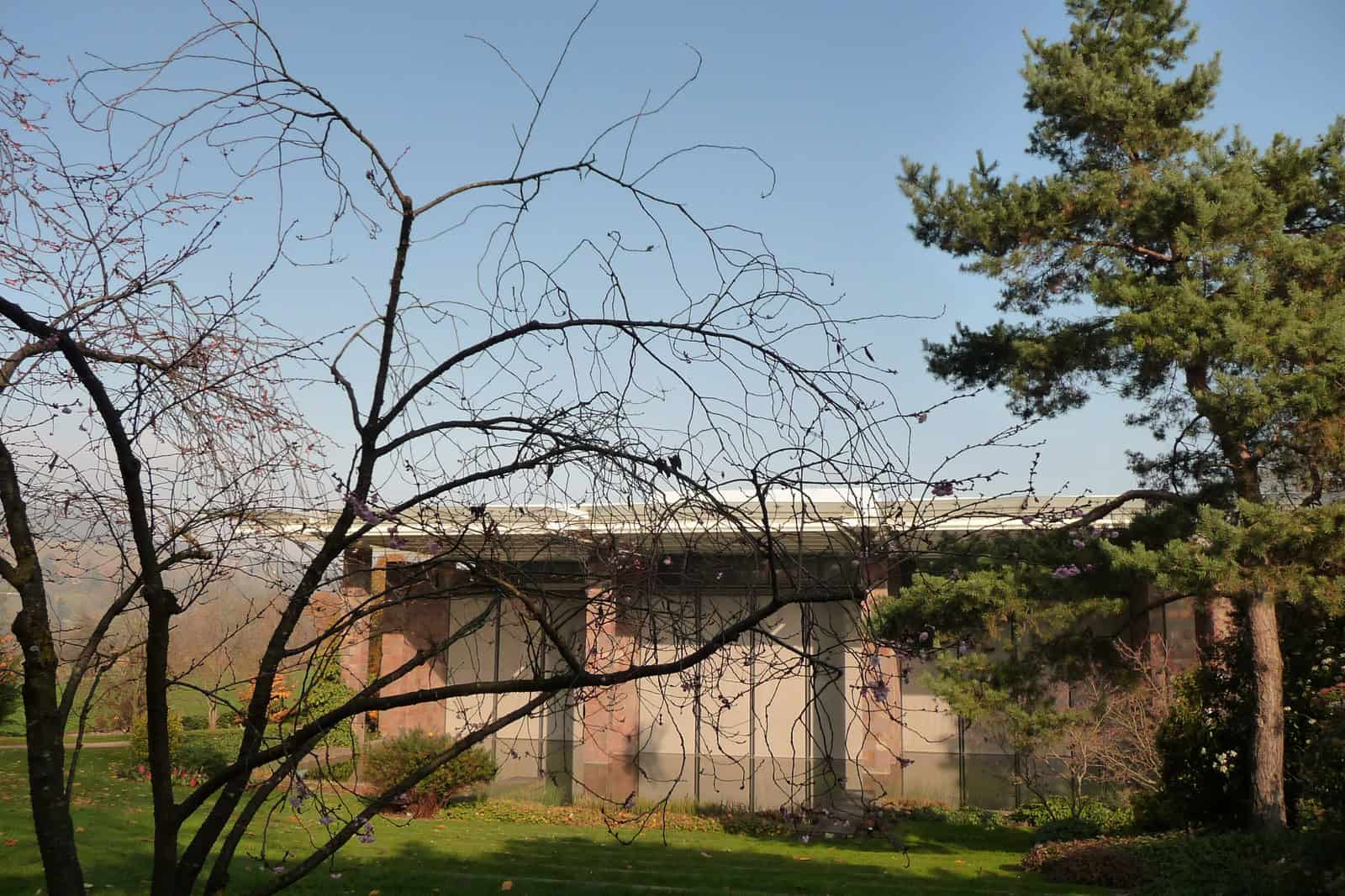 Garden-facing exterior of the Renzo Piano-designed Fondation Beyeler museum in Riehen.