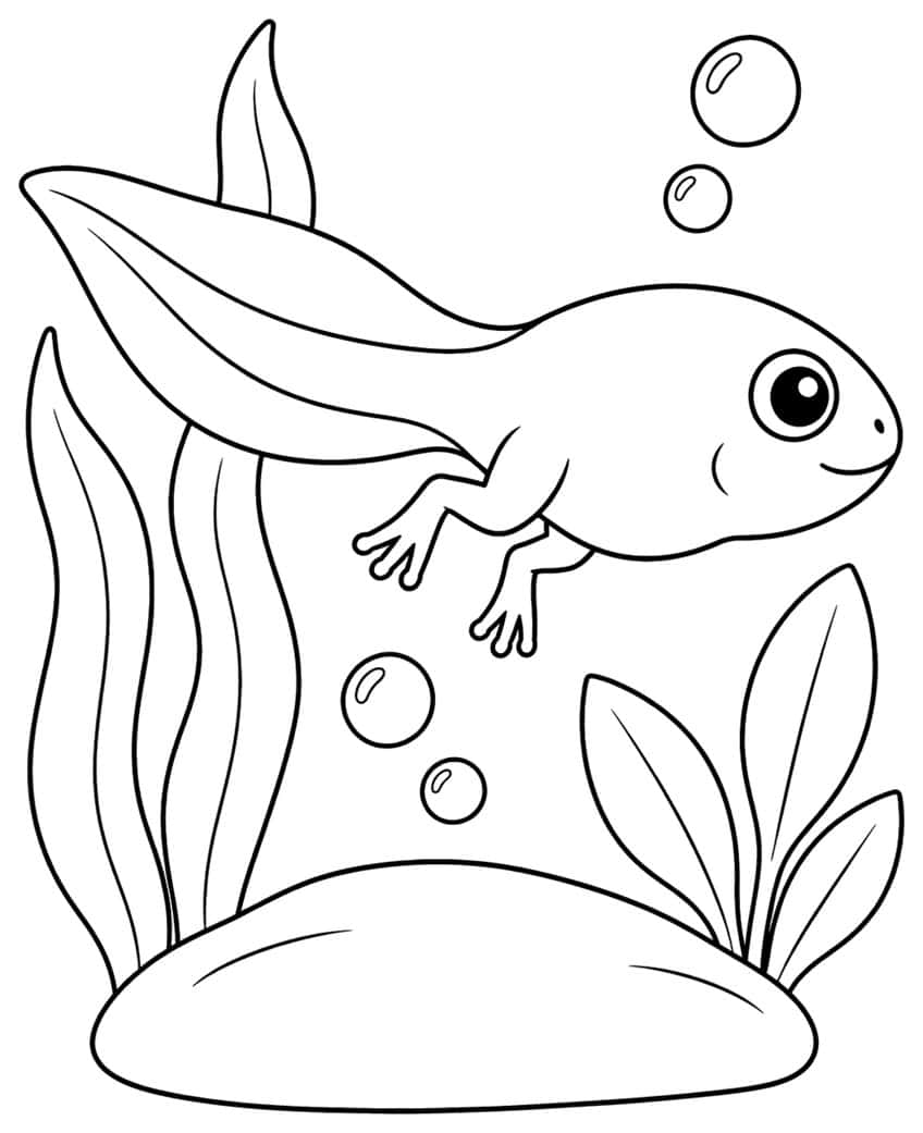 Coloring page of a tadpole with new back legs swimming among water plants and bubbles above a rock