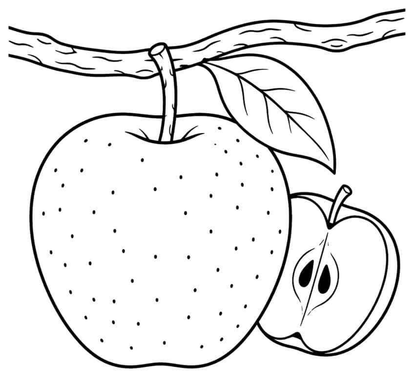 Coloring page of an apple on a branch beside a sliced apple half with seeds
