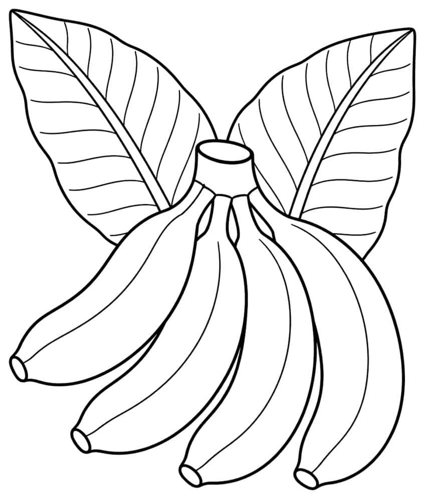 Coloring page of a banana bunch with two large veined leaves