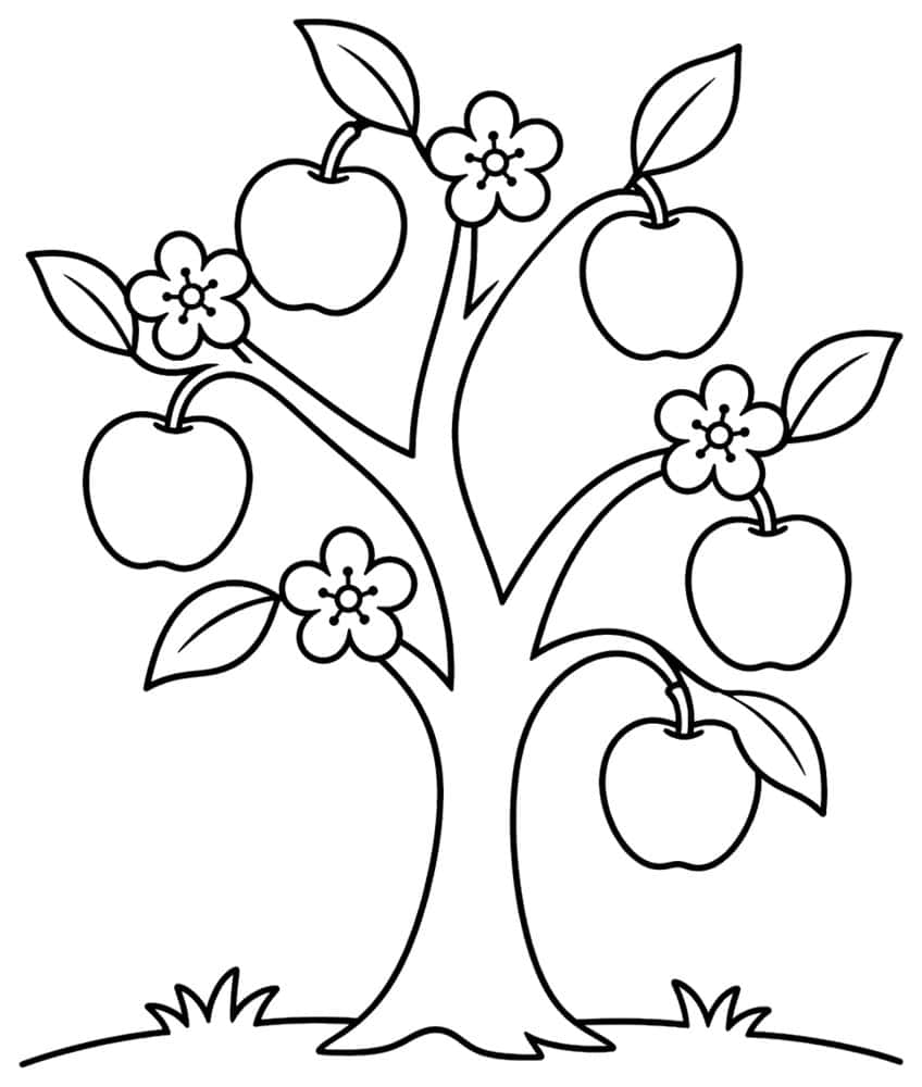 Coloring page of an apple tree with blossoms, leaves and grass