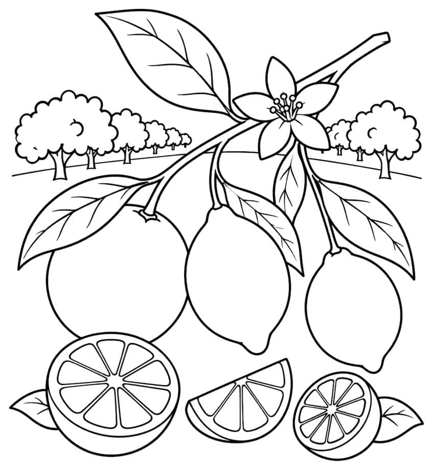 Citrus branch with orange, two lemons, blossom, sliced citrus half and wedge