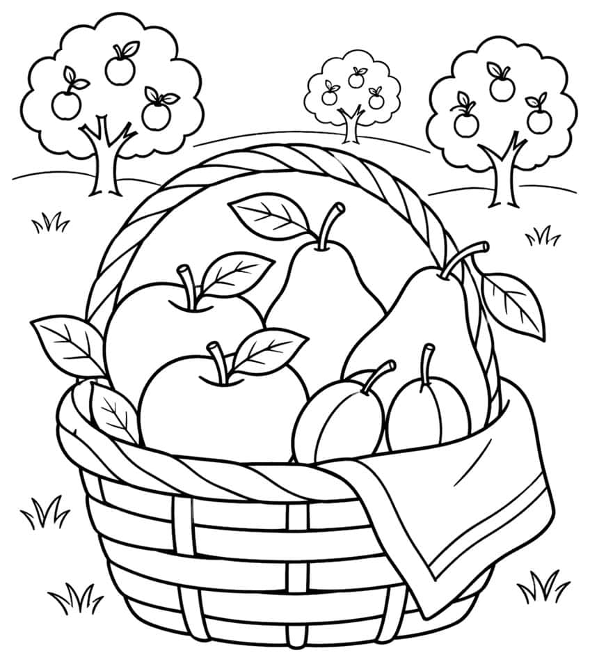 Wicker basket with apples, pears and plums, draped cloth, apple trees behind
