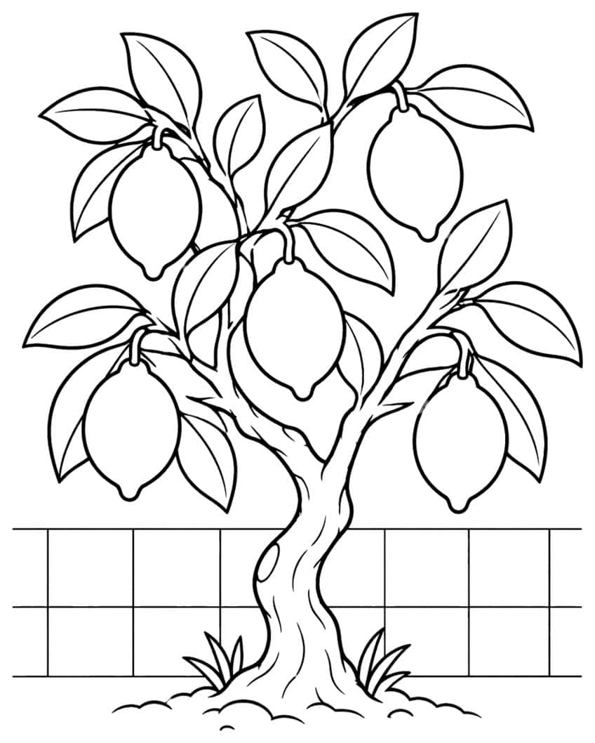 Lemon tree with six lemons, leaves, garden fence and grass tufts