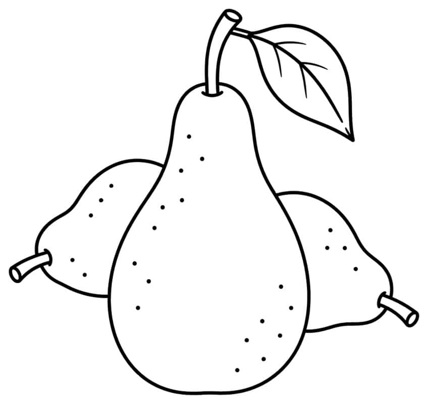 Three overlapping pears with speckled skin and one leaf on top