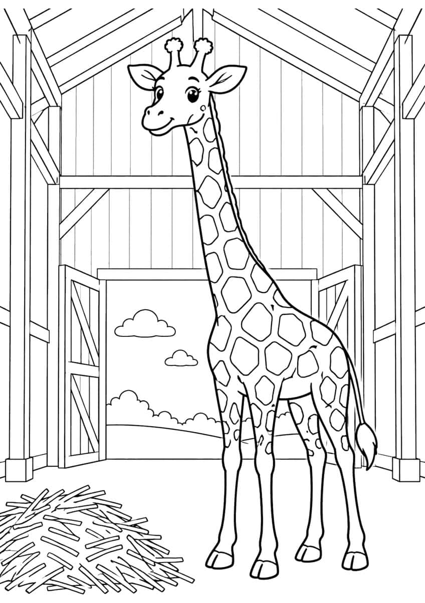 Smiling giraffe standing in a barn with open doors, wooden beams and a pile of hay