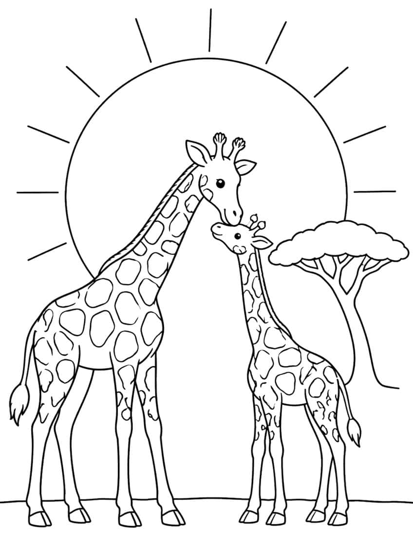 Adult giraffe nuzzling a calf in front of a big sun with rays and an acacia tree