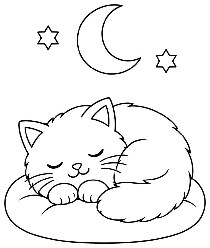 Sleeping fluffy cat curled on a cushion with a crescent moon and two Star of David shapes above