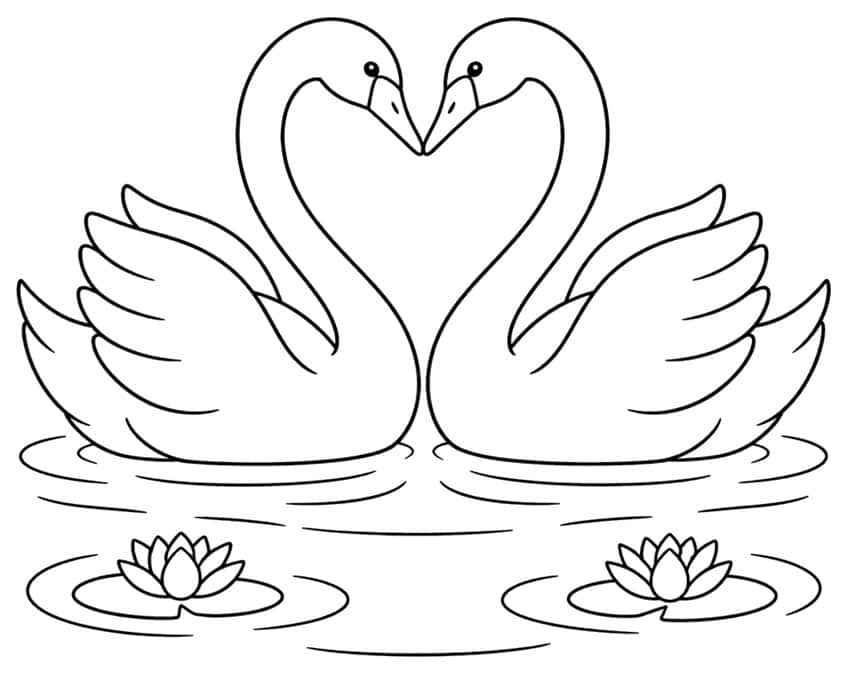 Coloring page with two swans whose necks form a heart above a pond