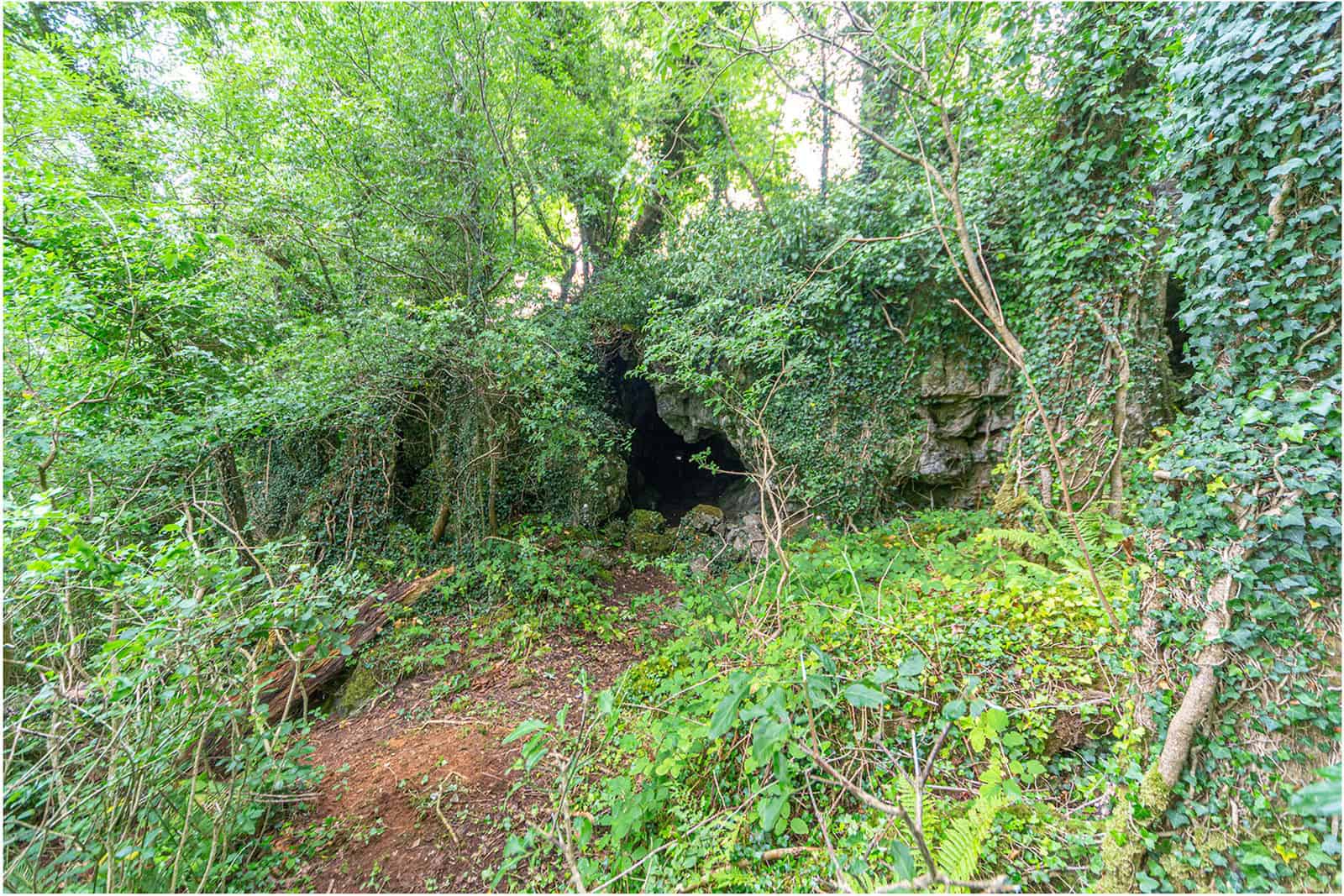 The exterior entrance of Alice and Gwendoline Cave appears in a wooded area in County Clare.