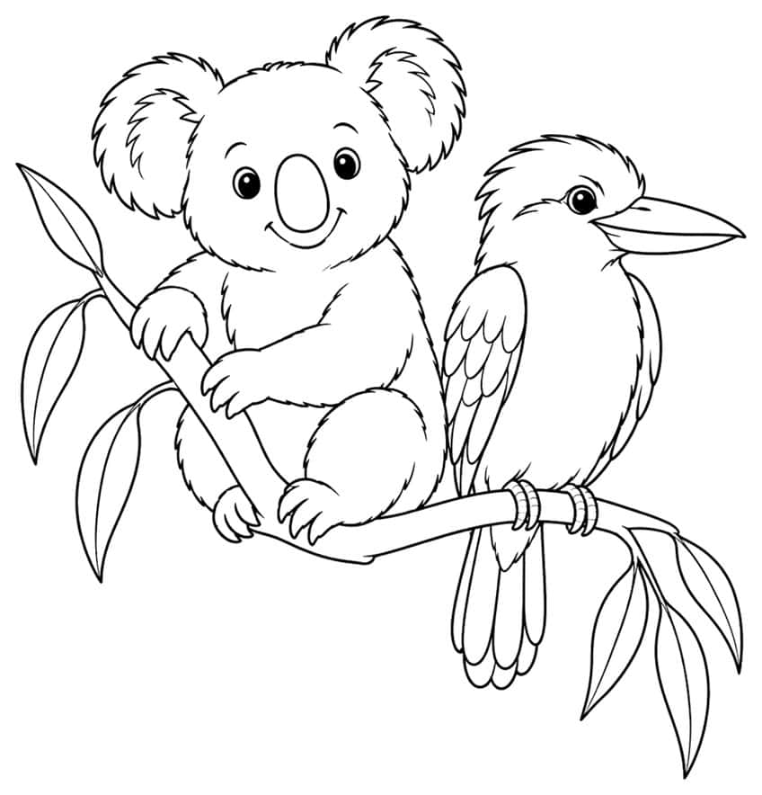 Coloring page of a koala and a kookaburra sitting on a eucalyptus branch
