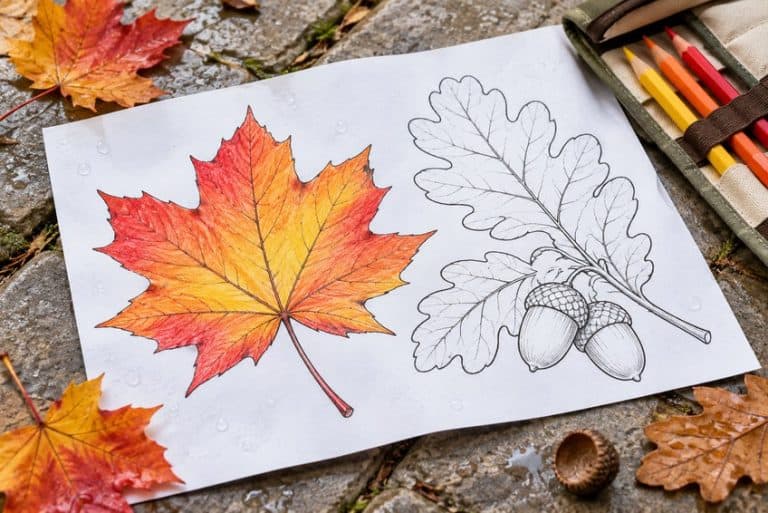 leaf coloring page partly colored in with pencils