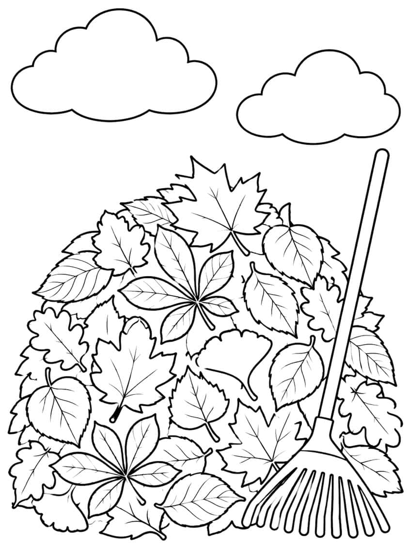 Pile of mixed autumn leaves with a leaning garden rake and two clouds above